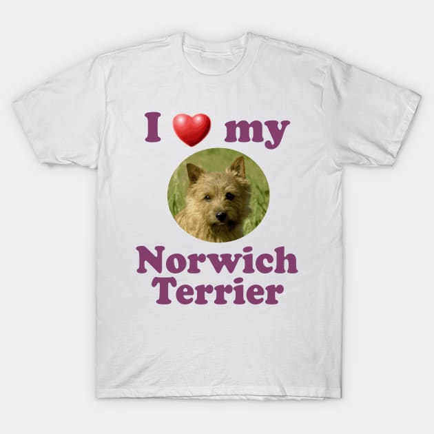 I Love My Norwich Terrier T-Shirt by Naves